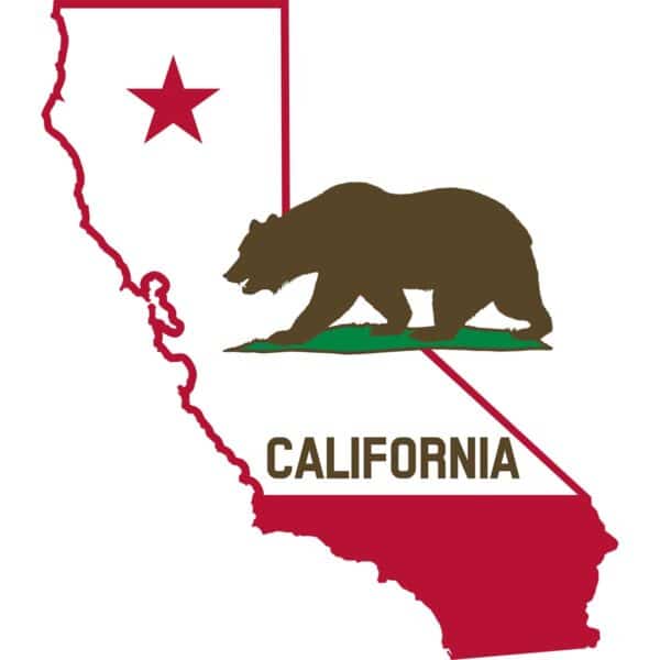 California Image with Bear